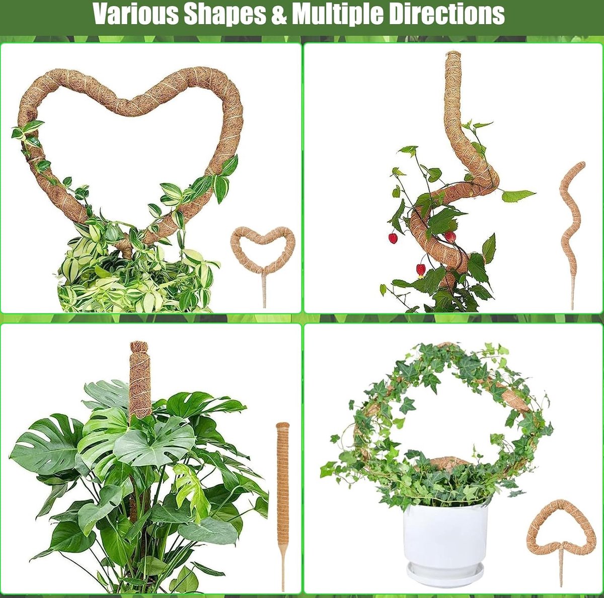 70 cm en 120 cm plantenstok kokos, buigbare kokosvezelmosstok, plantenstok voor klimplanten, natuurlijke plantensteun met accessoires, 2 stuks