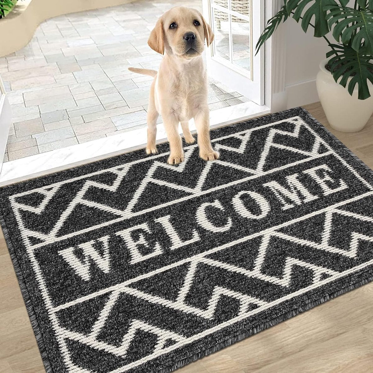 Deurmat voor binnen, 50 x 80 cm, zwart, antislip, wasbaar, vuilvangmat, waterabsorberende deurmat, vuilvanger, tapijt voor ingang, voordeur, patio, hal