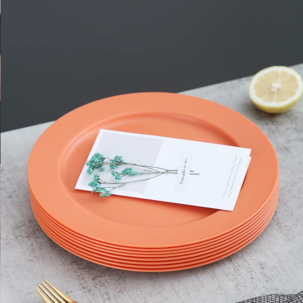 25 cm bordenset van 8, afbreekbare, gezonde, onbreekbare plastic borden, taartborden voor kinderen en volwassenen, lichte pastaborden, BPA-vrije dinerborden, magnetrons