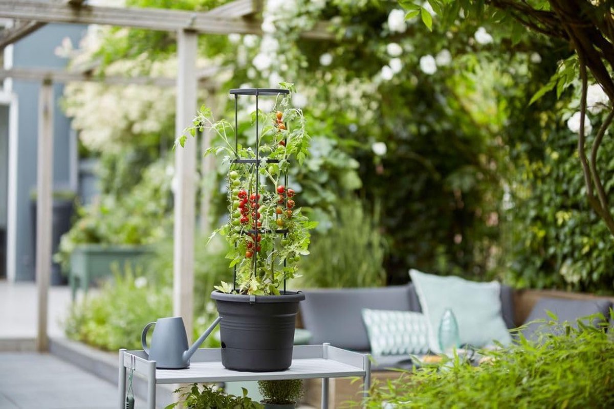 Green Basics Tomatenpot 33 - bloempot voor buiten kweken en oogsten - Ø 33,5 x H 26,0 cm - zwart/levend zwart