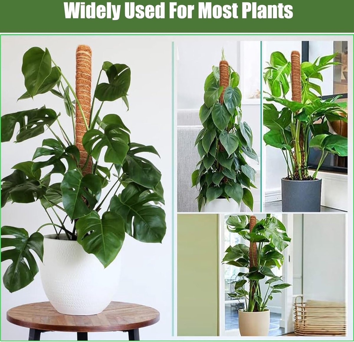 70 cm en 120 cm plantenstok kokos, buigbare kokosvezelmosstok, plantenstok voor klimplanten, natuurlijke plantensteun met accessoires, 2 stuks