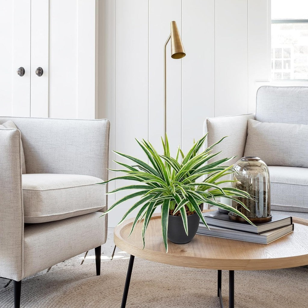 Fake Grass Planta in Pot Artificial Spider Plants Faux Chlorophytum Comosum Potted Plants for Hogar Office Table Shelf Kitchen Bathroom Bedroom Decoración