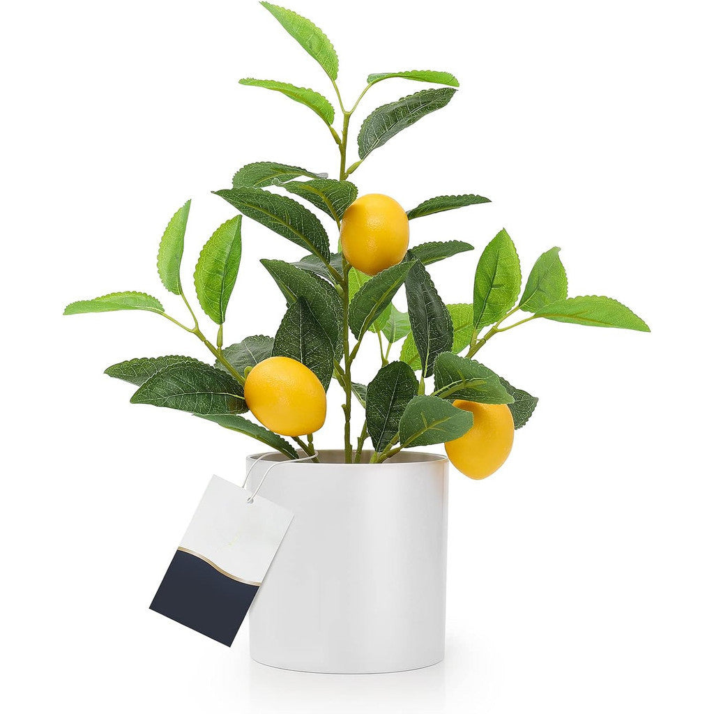 Nearly Natural Small Fake Lemon Tree for Lemon Decoración, 14.6 Inches Artificial Lemon Tree with White Pot Potted Planta Perfecto para Kitchen, Hogar, Indoor