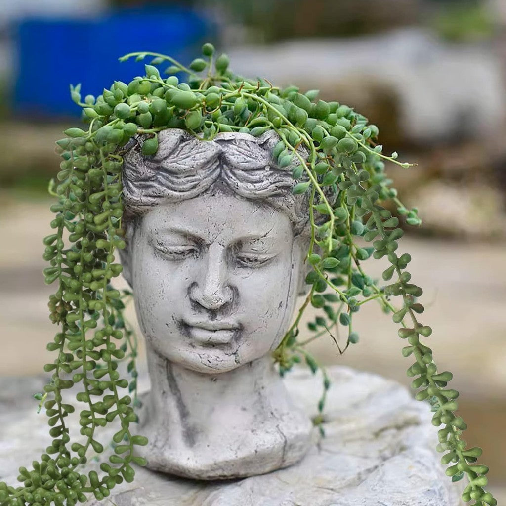 Artificial Succulents Colgante Plants Fake String of Pearls for Pared Hogar Jardín Decoración
