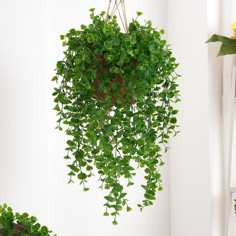 Fake Colgante Plants, Faux Eucalyptus Leafs Greenery Vine, Artificial Colgante Plants, UV Resistant Plastic Plants for Indoor Outdoor Pared Hogar Office Kitchen Room Patio Decoración