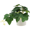Mini Artificial Planta Potted Indoor Decoración in White Pot Fake Plants Realistic Faux Colgante Planta Greenery Props Modern for Living Room Thanksgiving Hogar Ornament