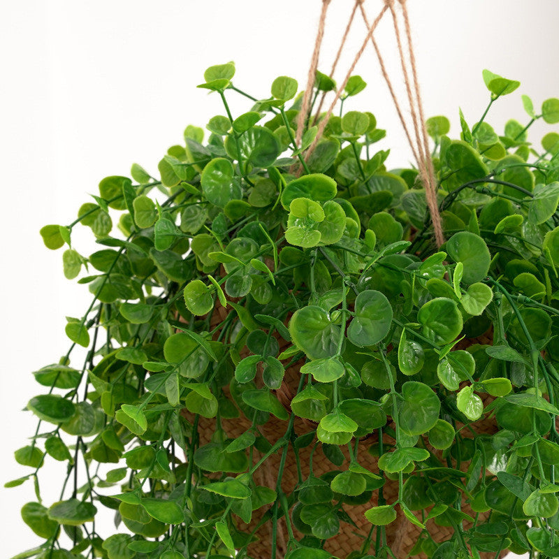 Fake Colgante Plants, Faux Eucalyptus Leafs Greenery Vine, Artificial Colgante Plants, UV Resistant Plastic Plants for Indoor Outdoor Pared Hogar Office Kitchen Room Patio Decoración