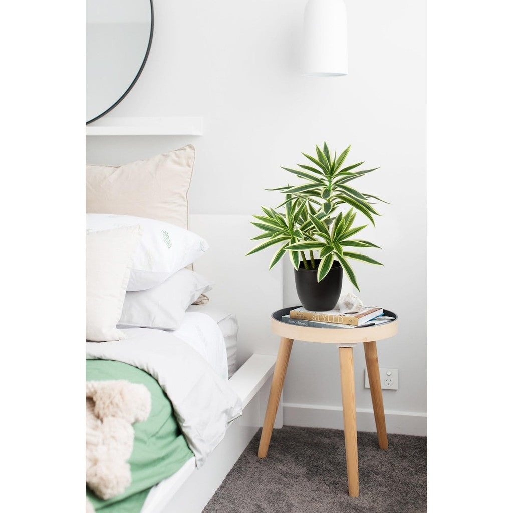 Faux Plants Dracaena Artificial Planta Realistic Fake Plants in Pot Small Indoor Plants Fake Potted Plants Decoración for Hogar Living Room Bathroom Office House Table Desk Shelf