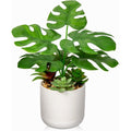 13.8 Inch Fake Monstera Potted Planta, Artificial Succulent Plants in Ceramic Pot Faux Tropical Planta for Indoor Outdoor Hogar Office Tabletop Shelf Jardín Farmhouse Decorative