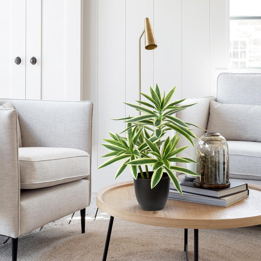 Faux Plants Dracaena Artificial Planta Realistic Fake Plants in Pot Small Indoor Plants Fake Potted Plants Decoración for Hogar Living Room Bathroom Office House Table Desk Shelf