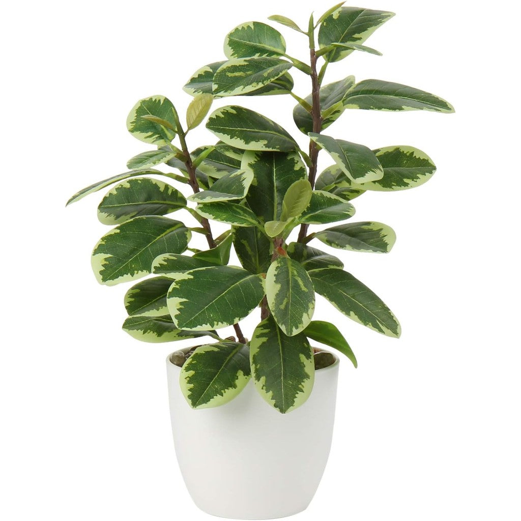 Artificial Potted Alocasia Begonia Calathea Plants Mini Fake Plants in Plastic Pot Small Greenery Faux Plants Indoor for Hogar Office Desk Room Table Bathroom Bedroom Decorations