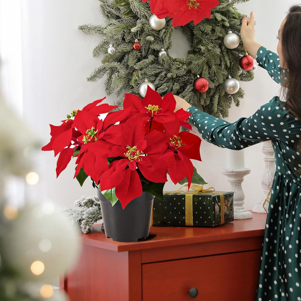 Poinsettia Planta Artificial 13.4 Inch Red Velvet Poinsettias Artificial Christmas Flowers in Pot for Indoor Outdoor Xmas Ornament Porch Hogar Jardín Decorations