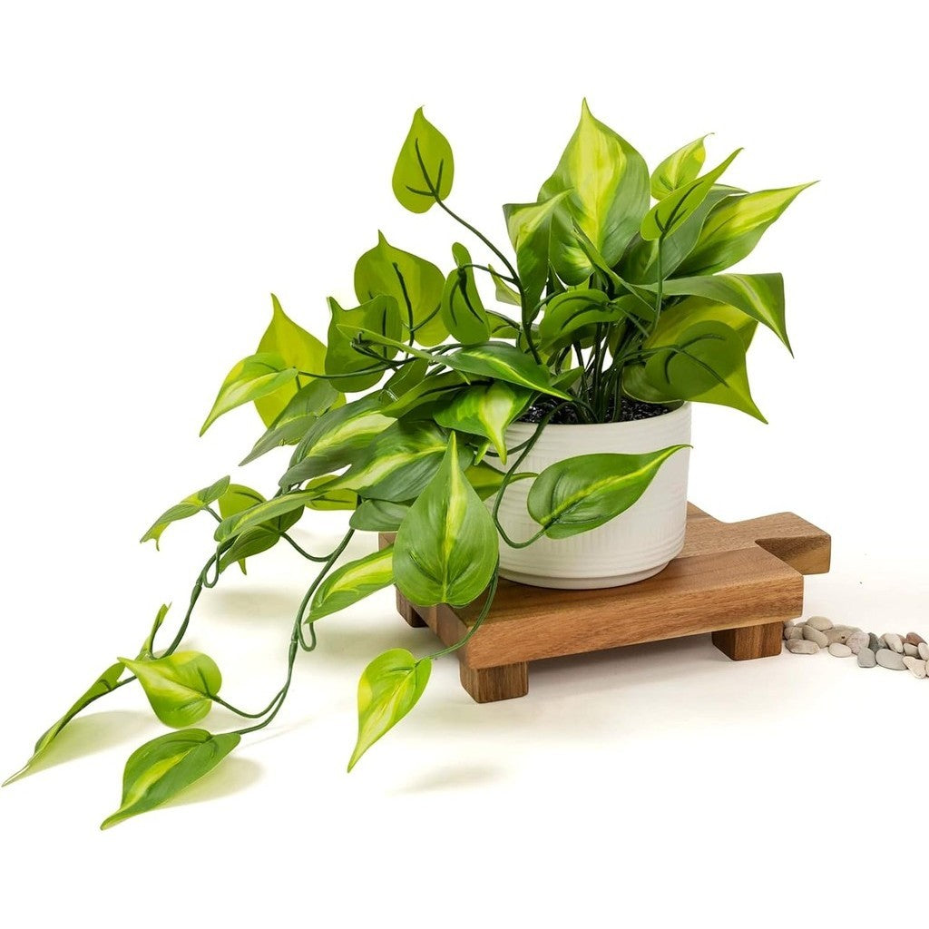 Farmhouse Fake pothos Planta | Fake Planta for Shelf Decoración |18" Artificial Trailing Ivy Planta with Pot | Verde Faux Ivy Planta | Feaux Ivy Pothos Planta