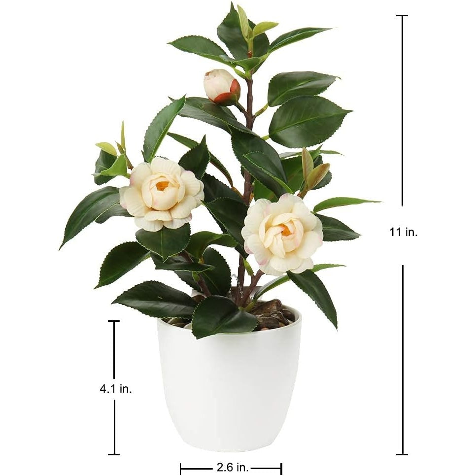 Artificial Potted Alocasia Begonia Calathea Plants Mini Fake Plants in Plastic Pot Small Greenery Faux Plants Indoor for Hogar Office Desk Room Table Bathroom Bedroom Decorations