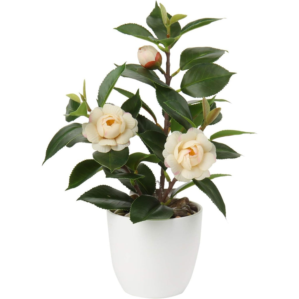 Artificial Potted Alocasia Begonia Calathea Plants Mini Fake Plants in Plastic Pot Small Greenery Faux Plants Indoor for Hogar Office Desk Room Table Bathroom Bedroom Decorations
