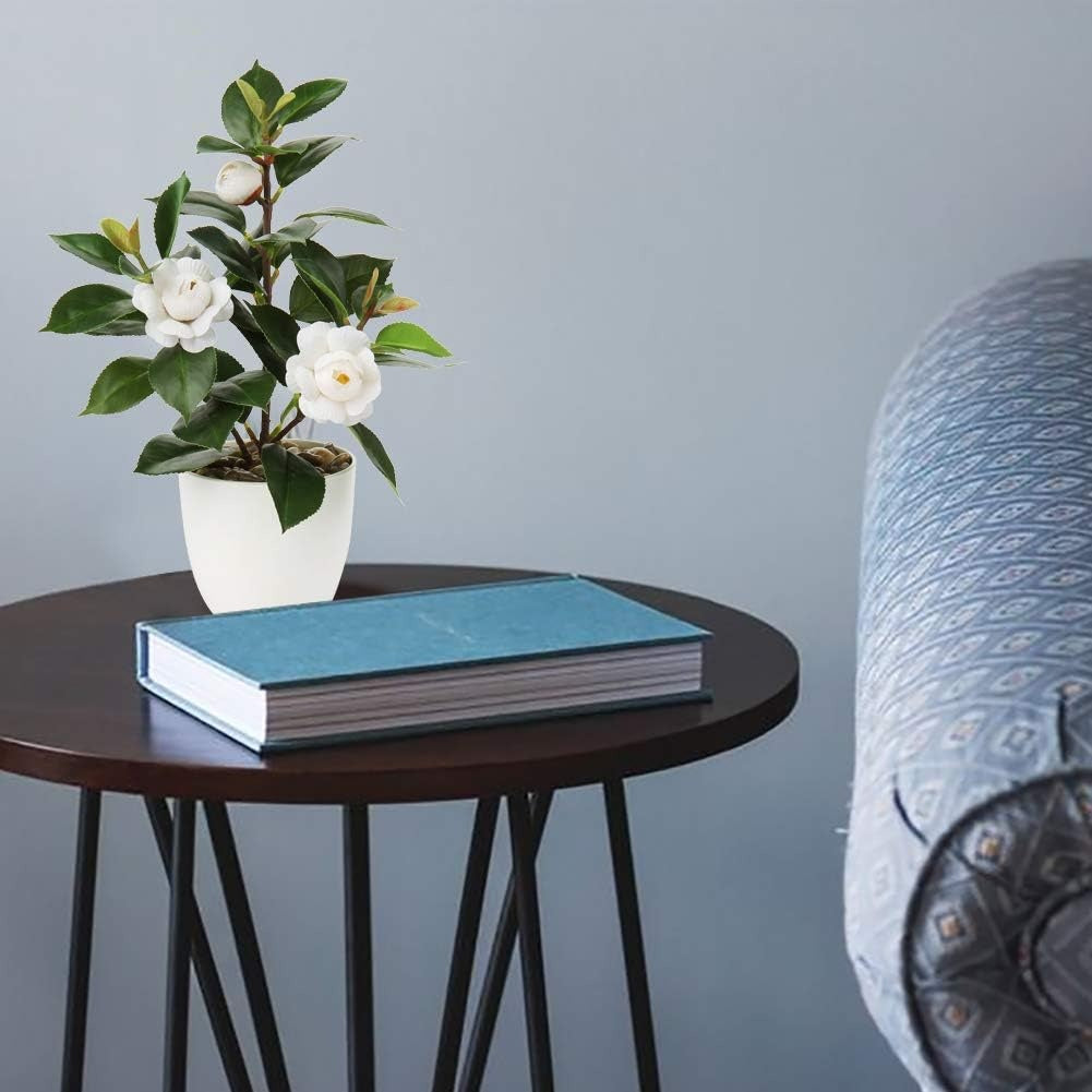 Artificial Potted Alocasia Begonia Calathea Plants Mini Fake Plants in Plastic Pot Small Greenery Faux Plants Indoor for Hogar Office Desk Room Table Bathroom Bedroom Decorations
