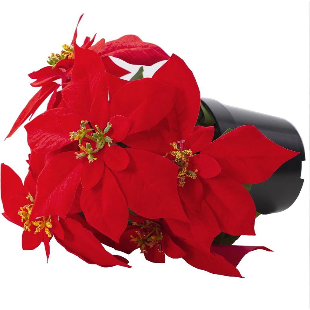 Poinsettia Planta Artificial 13.4 Inch Red Velvet Poinsettias Artificial Christmas Flowers in Pot for Indoor Outdoor Xmas Ornament Porch Hogar Jardín Decorations