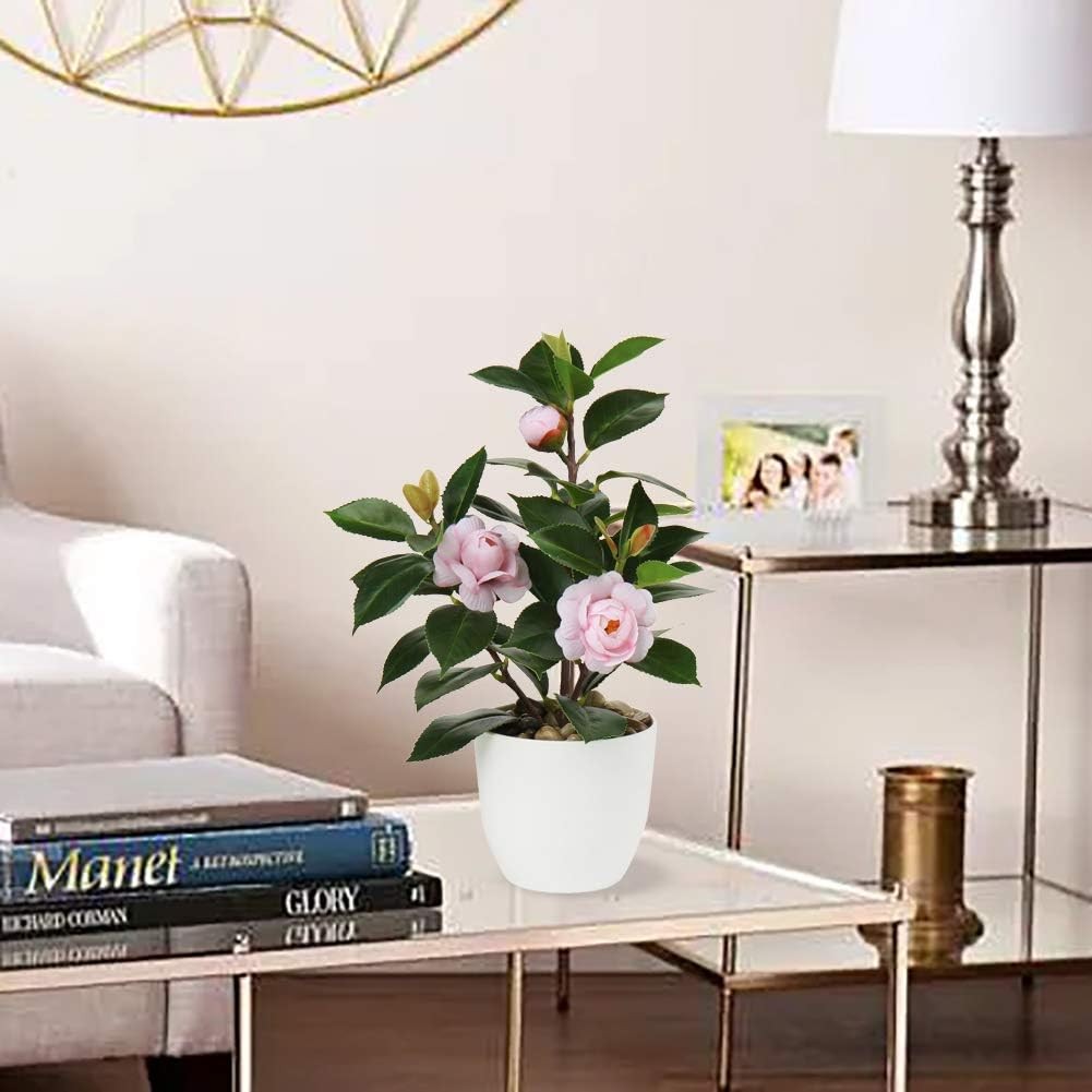 Artificial Potted Alocasia Begonia Calathea Plants Mini Fake Plants in Plastic Pot Small Greenery Faux Plants Indoor for Hogar Office Desk Room Table Bathroom Bedroom Decorations