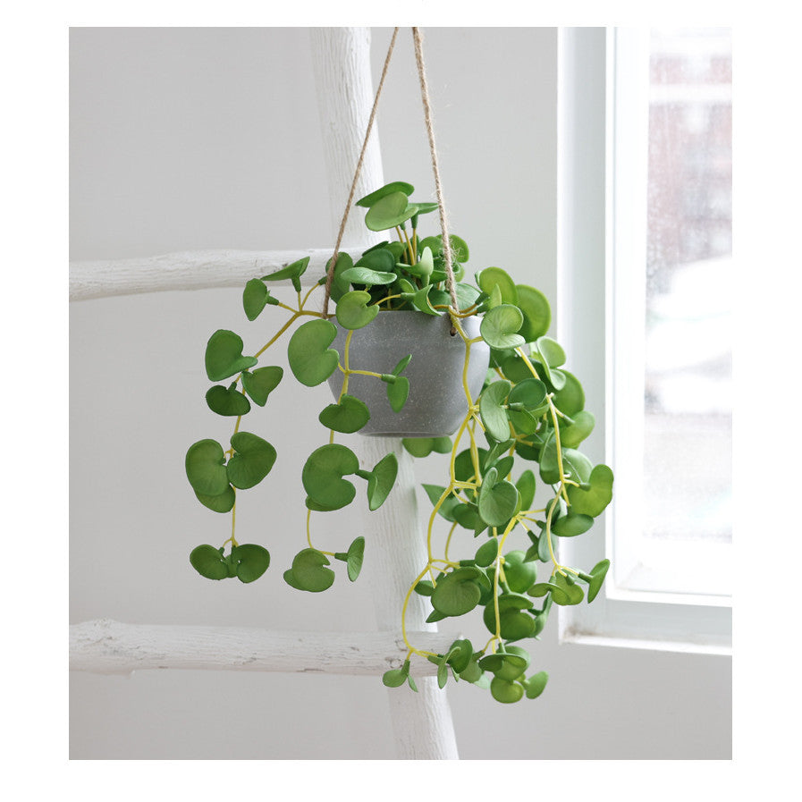 Fake Colgante Plants with Pots, Artificial Faux Anthurium Leaf Colgante Basket Planta for Pared Hogar Room Indoor Outdoor Decoración
