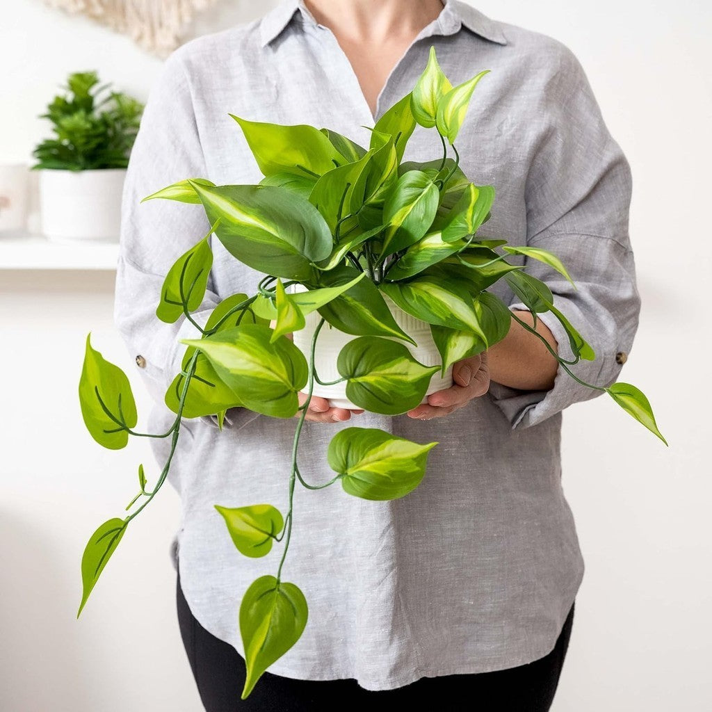 Farmhouse Fake pothos Planta | Fake Planta for Shelf Decoración |18" Artificial Trailing Ivy Planta with Pot | Verde Faux Ivy Planta | Feaux Ivy Pothos Planta