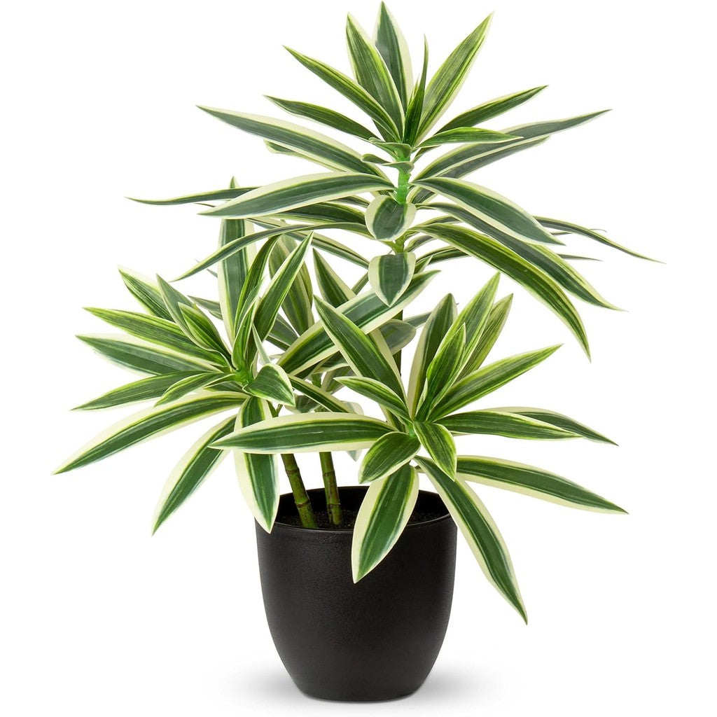 Faux Plants Dracaena Artificial Planta Realistic Fake Plants in Pot Small Indoor Plants Fake Potted Plants Decoración for Hogar Living Room Bathroom Office House Table Desk Shelf