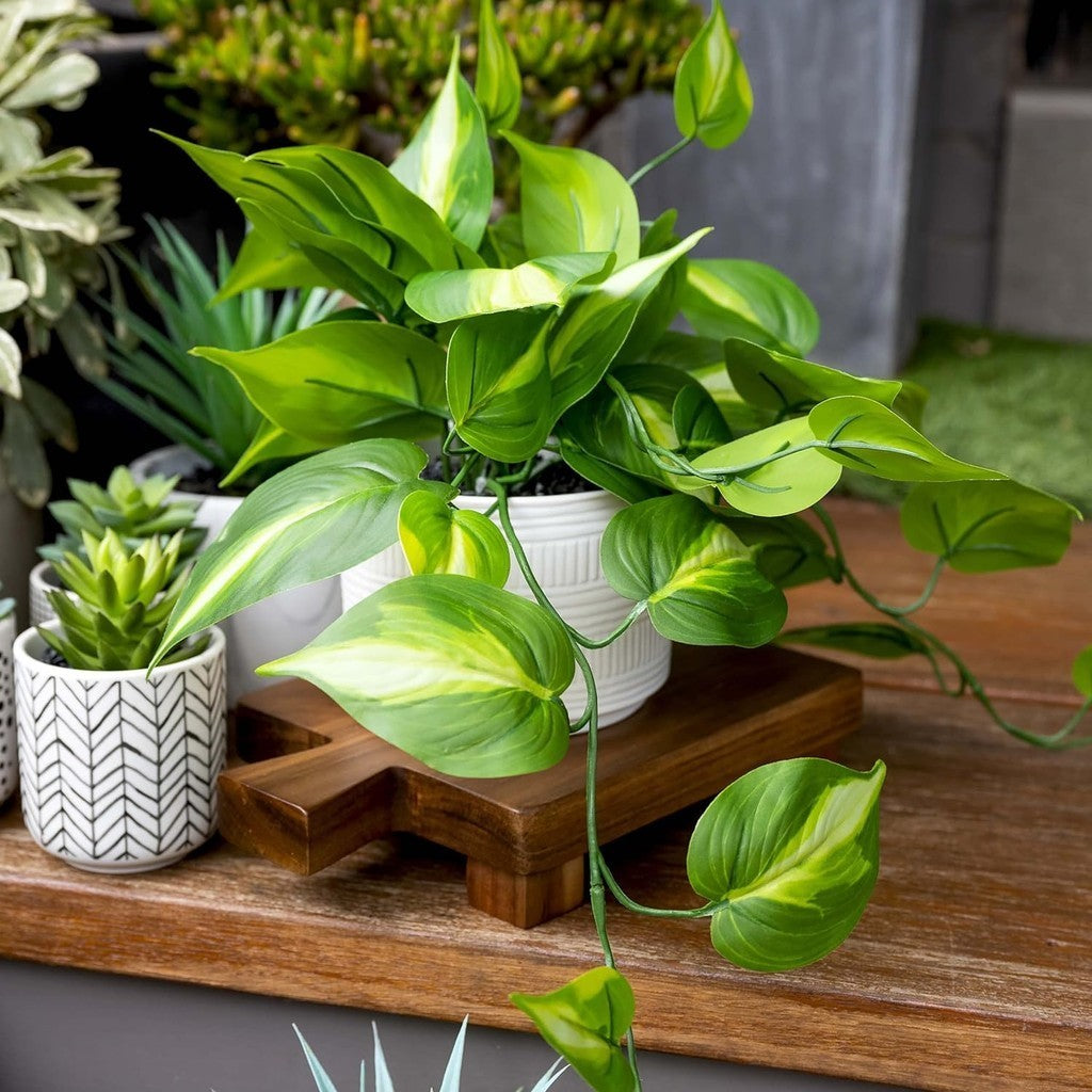 Farmhouse Fake pothos Planta | Fake Planta for Shelf Decoración |18" Artificial Trailing Ivy Planta with Pot | Verde Faux Ivy Planta | Feaux Ivy Pothos Planta
