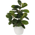 Artificial Potted Alocasia Begonia Calathea Plants Mini Fake Plants in Plastic Pot Small Greenery Faux Plants Indoor for Hogar Office Desk Room Table Bathroom Bedroom Decorations