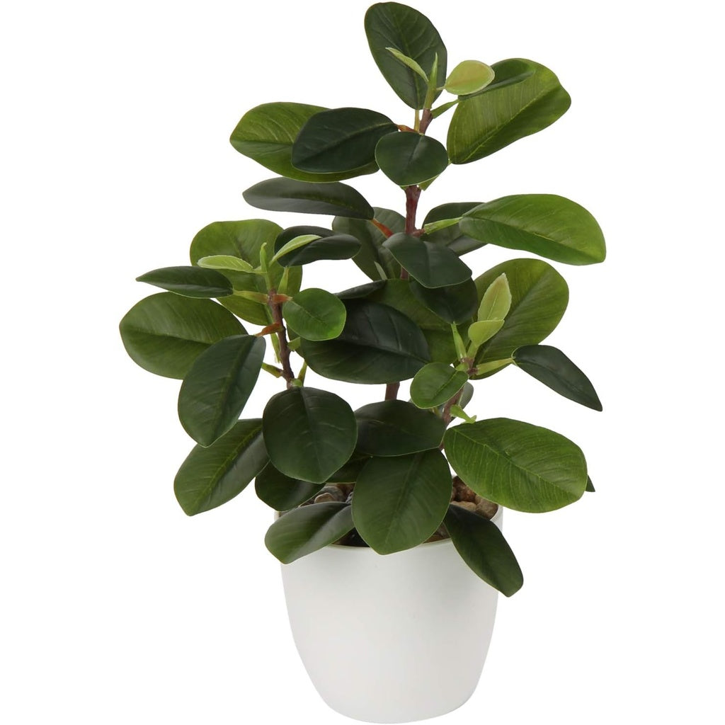 Artificial Potted Alocasia Begonia Calathea Plants Mini Fake Plants in Plastic Pot Small Greenery Faux Plants Indoor for Hogar Office Desk Room Table Bathroom Bedroom Decorations