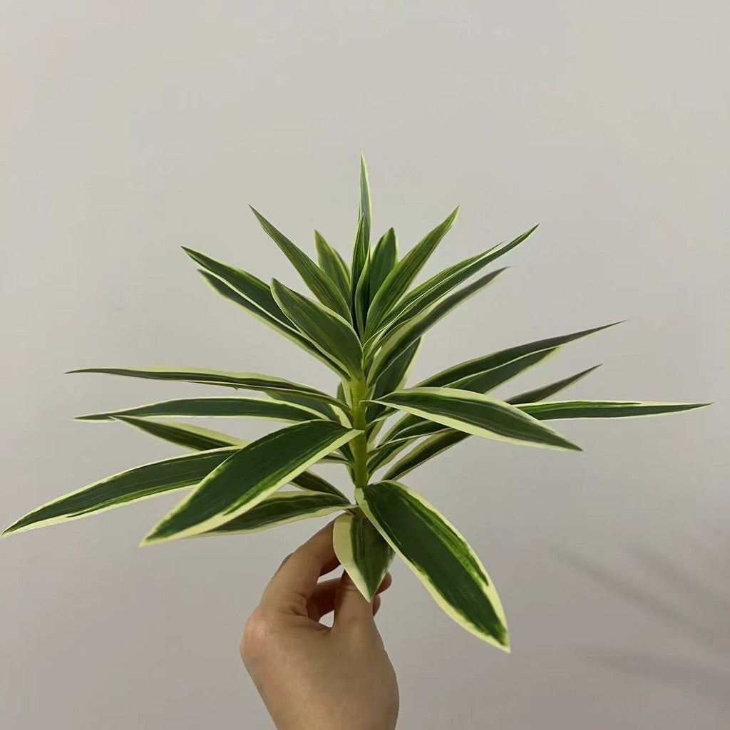 Artificial Dracaena Reflexa Fake Lily Bamboo Verde PU Spider Plants for Vase Bouquets Hogar Office Wedding Decoración