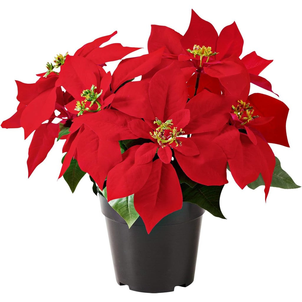 Poinsettia Planta Artificial 13.4 Inch Red Velvet Poinsettias Artificial Christmas Flowers in Pot for Indoor Outdoor Xmas Ornament Porch Hogar Jardín Decorations