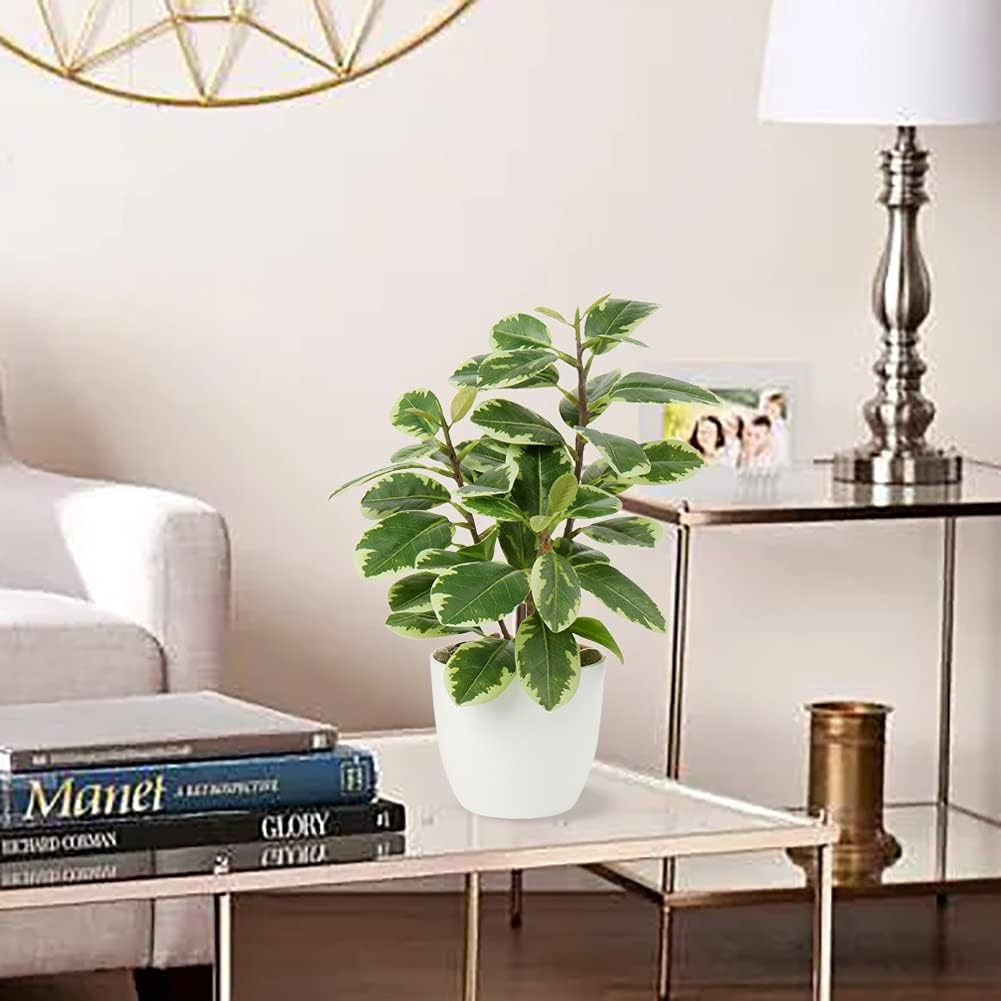 Artificial Potted Alocasia Begonia Calathea Plants Mini Fake Plants in Plastic Pot Small Greenery Faux Plants Indoor for Hogar Office Desk Room Table Bathroom Bedroom Decorations