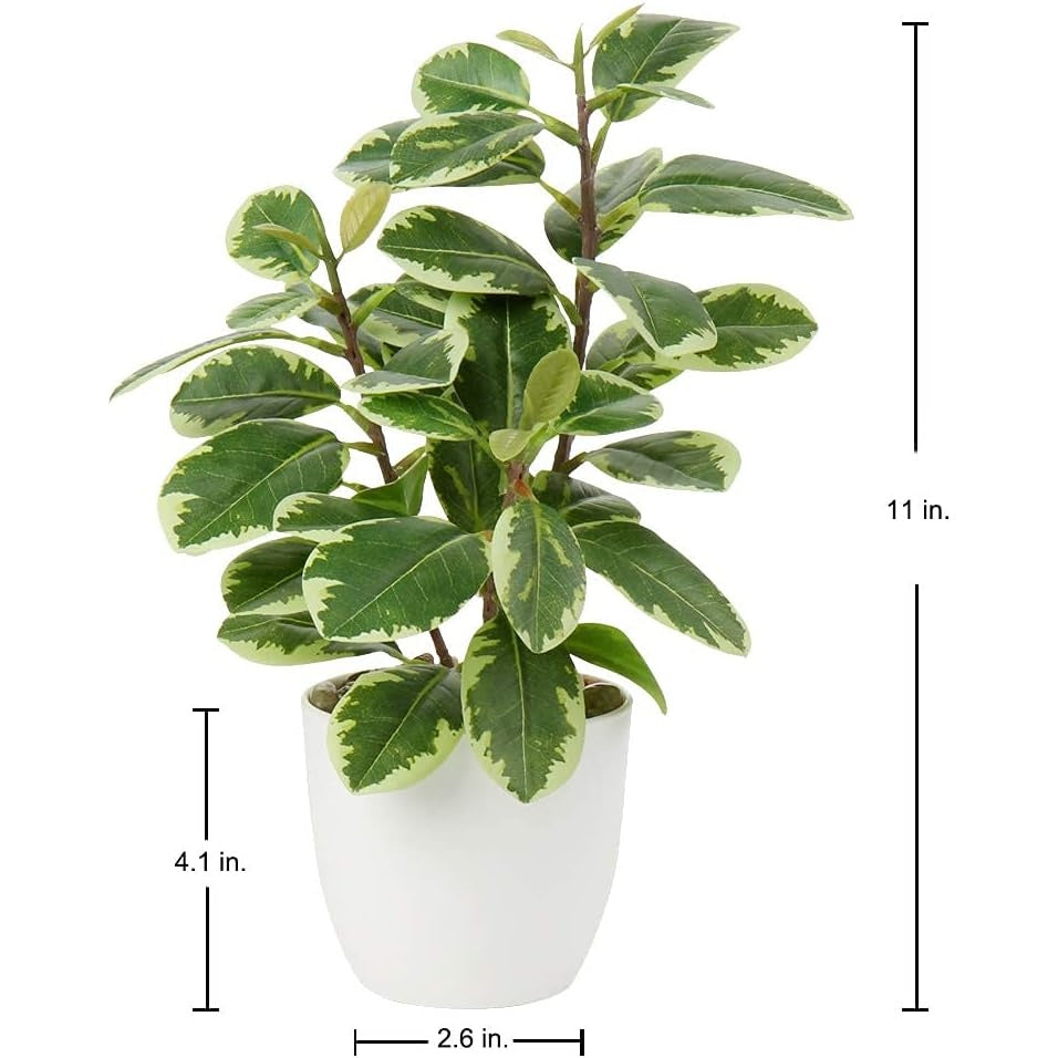 Artificial Potted Alocasia Begonia Calathea Plants Mini Fake Plants in Plastic Pot Small Greenery Faux Plants Indoor for Hogar Office Desk Room Table Bathroom Bedroom Decorations