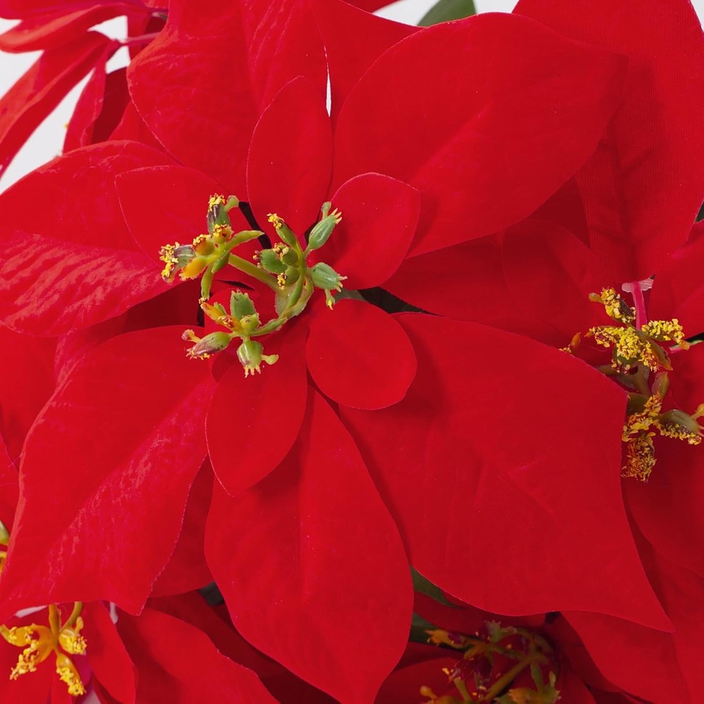 Poinsettia Planta Artificial 13.4 Inch Red Velvet Poinsettias Artificial Christmas Flowers in Pot for Indoor Outdoor Xmas Ornament Porch Hogar Jardín Decorations