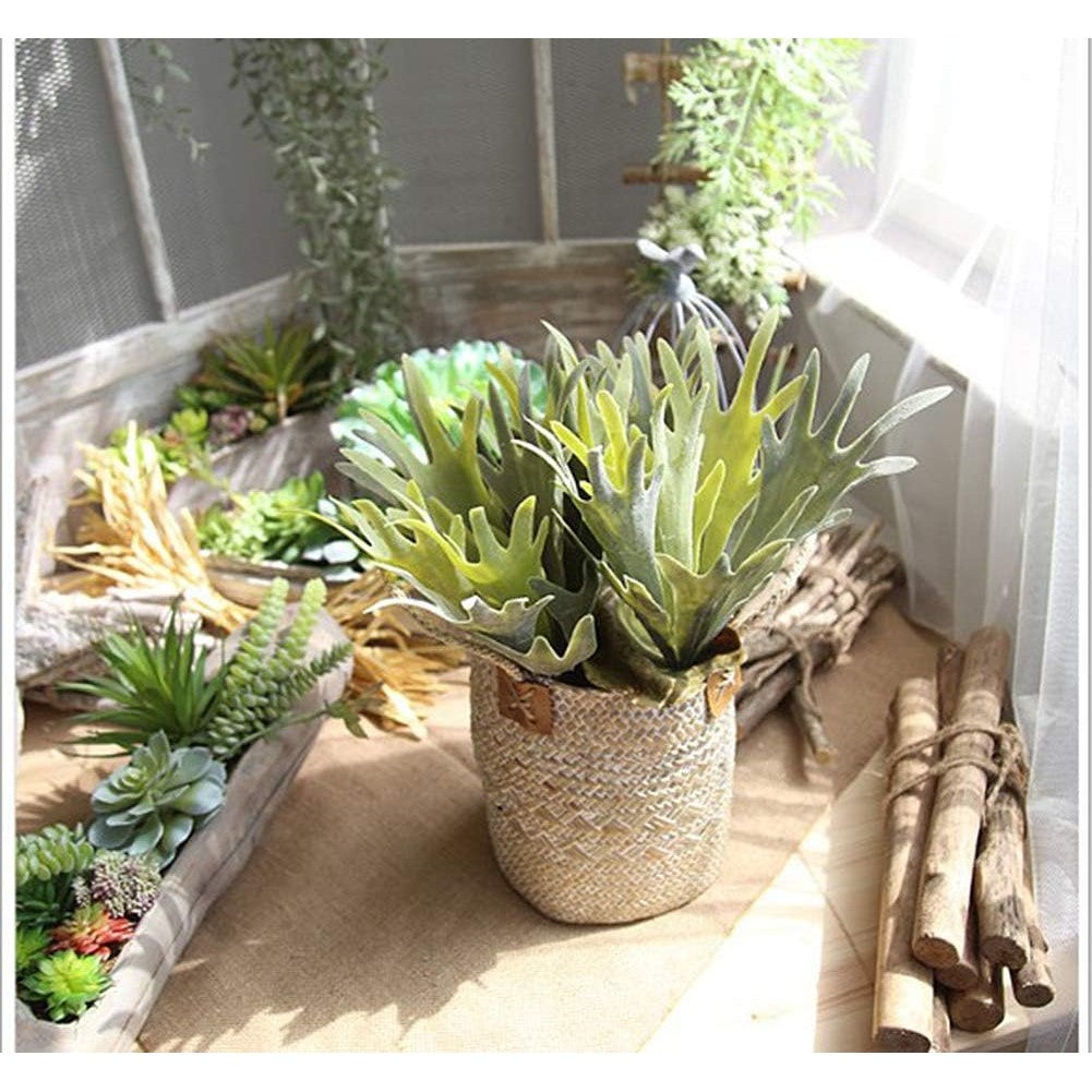 Artificial Flocking Succulents Planta Fake Staghorns Fern Platycerium Grass Leaves Faux Verde Potted Planta