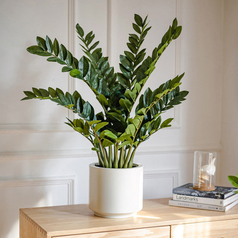 Artificial Chinese Money Planta Fake Leaves Decoración - Potted Greenery for Hogar, Living Room, and Dining Table Decoración