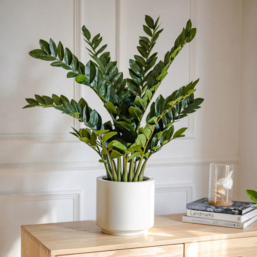 Artificial Chinese Money Planta Fake Leaves Decoración - Potted Greenery for Hogar, Living Room, and Dining Table Decoración