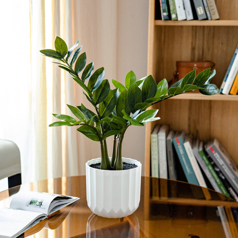 Artificial Chinese Money Planta Fake Leaves Decoración - Potted Greenery for Hogar, Living Room, and Dining Table Decoración