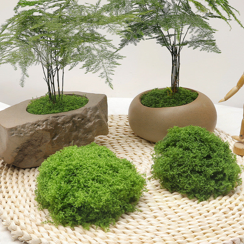 Fake Verde Moss for Potted Plants,Moss Decoración Artificial Faux Moss for Crafts Preserved Moss for DIY Decorative Moss Table Centerpieces Decoración Fairy Jardín Floral Wedding