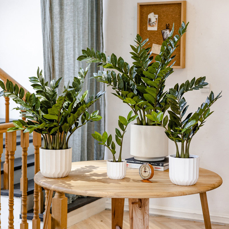 Artificial Chinese Money Planta Fake Leaves Decoración - Potted Greenery for Hogar, Living Room, and Dining Table Decoración