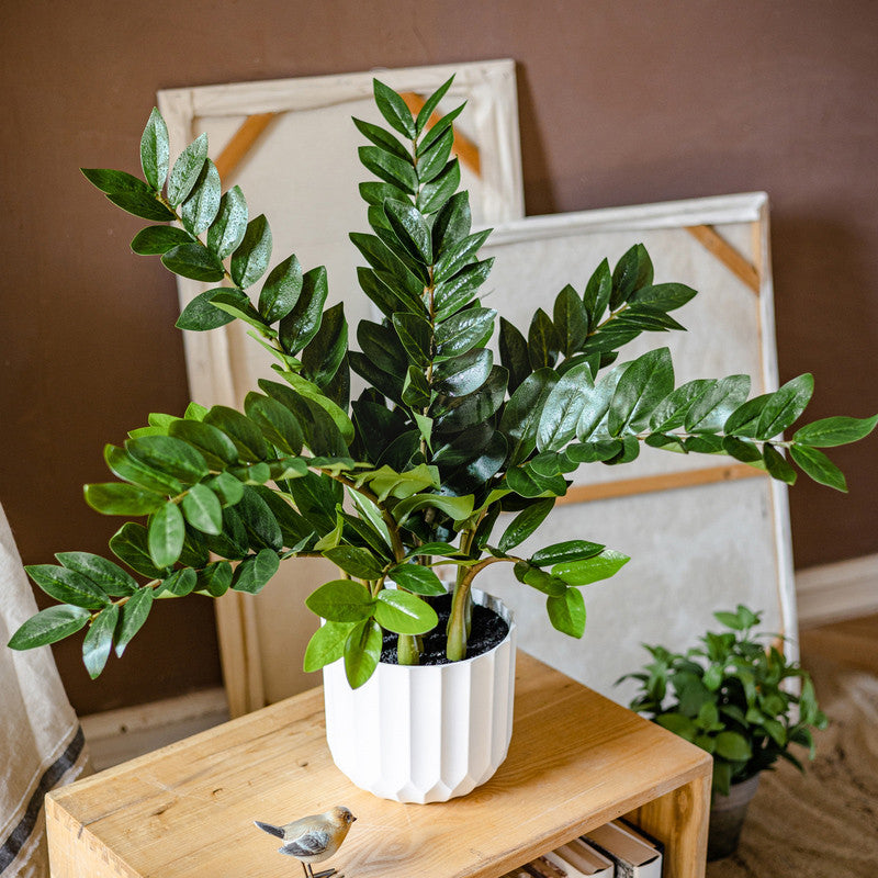 Artificial Chinese Money Planta Fake Leaves Decoración - Potted Greenery for Hogar, Living Room, and Dining Table Decoración