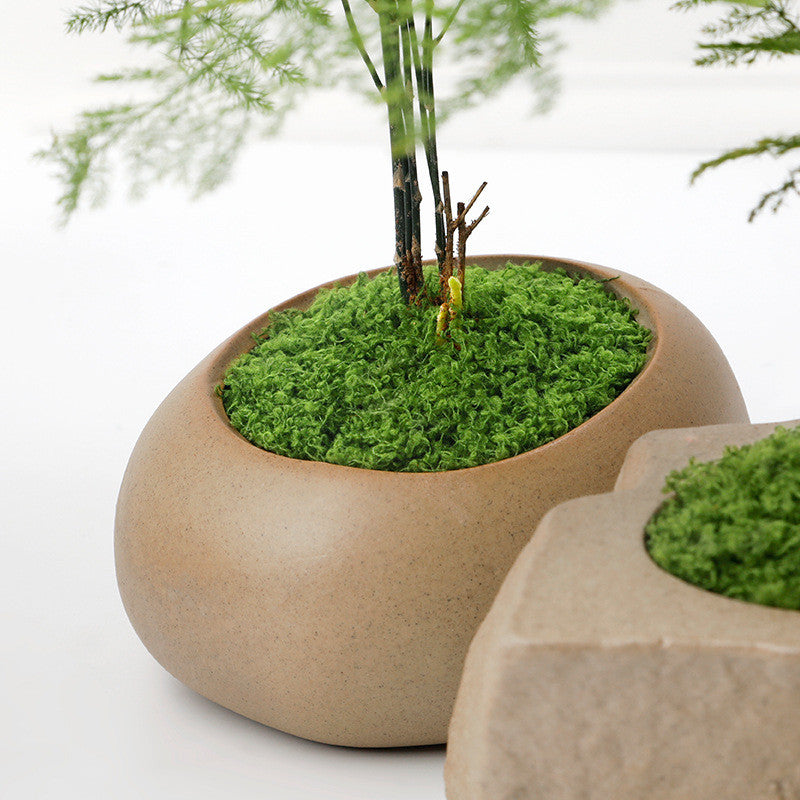 Fake Verde Moss for Potted Plants,Moss Decoración Artificial Faux Moss for Crafts Preserved Moss for DIY Decorative Moss Table Centerpieces Decoración Fairy Jardín Floral Wedding